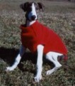 sportpullover
